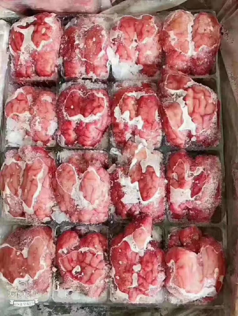 单体羊脑，羔羊拐筋系列