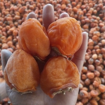 出售各种霜饼红饼