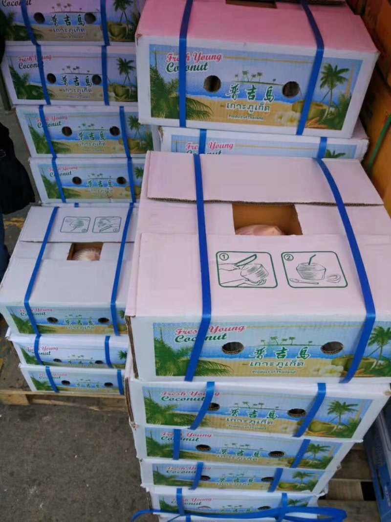 泰国普吉岛香水奶椰青