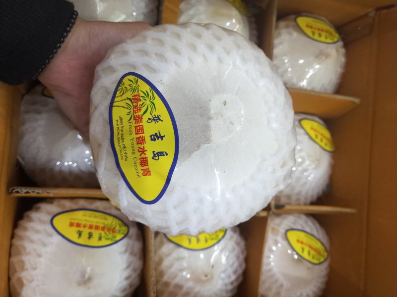 泰国普吉岛香水奶椰青
