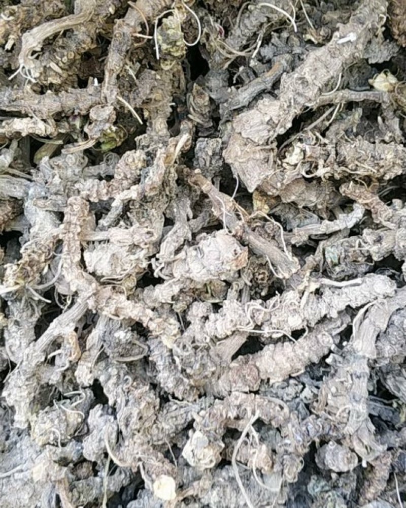 贵州野生蜘蛛香马蹄金马蹄香包邮