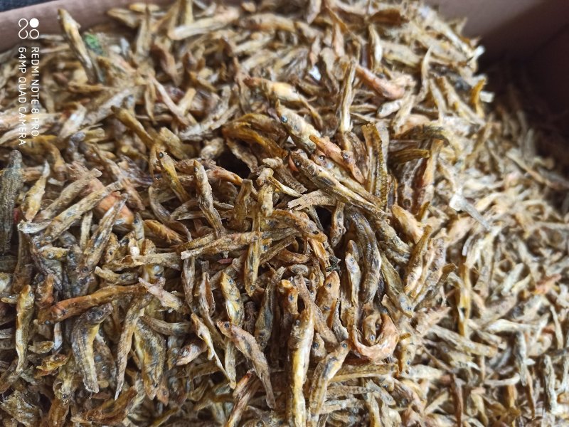 淡水小黄鱼，无盐，无碎末，干度好家庭爆品餐桌必备好吃美味