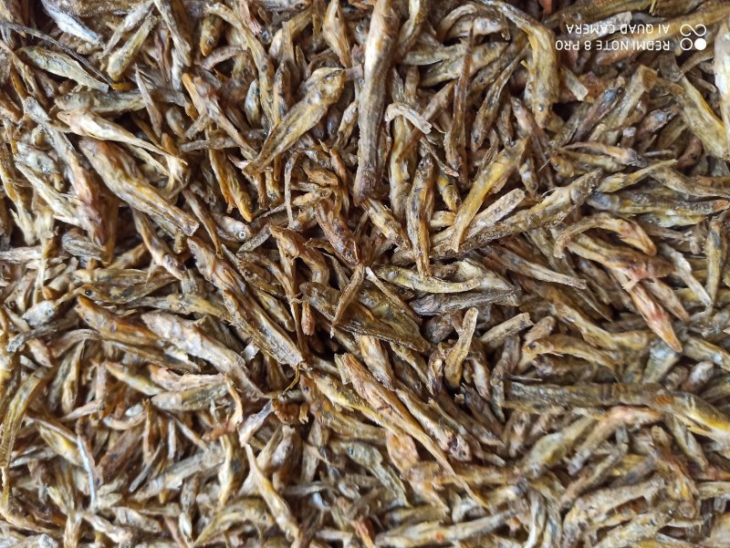 淡水小黄鱼，无盐，无碎末，干度好家庭爆品餐桌必备好吃美味
