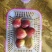 波姬红无花果苗批发包邮发货保证品种当年挂果