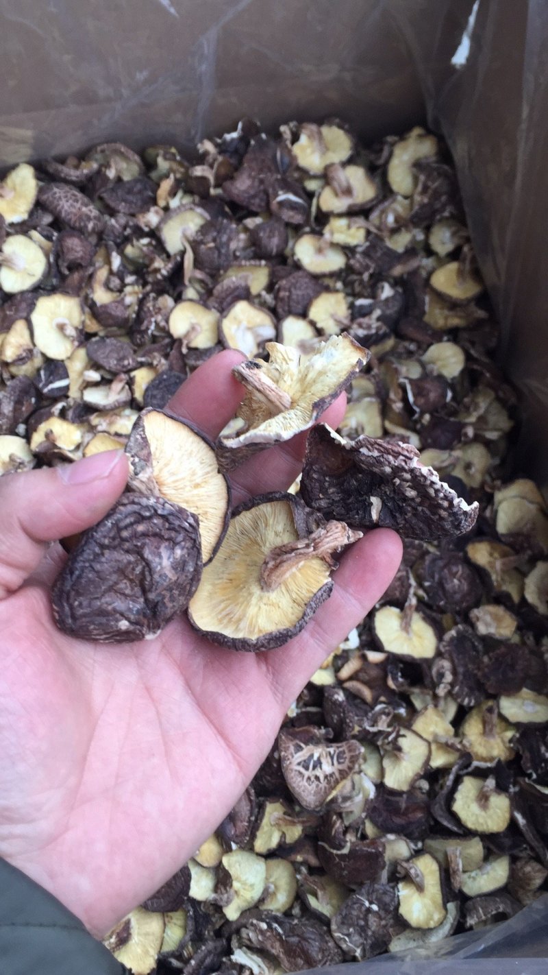 这款是野生菇2，树木香菇，椴木菇2。厚实。