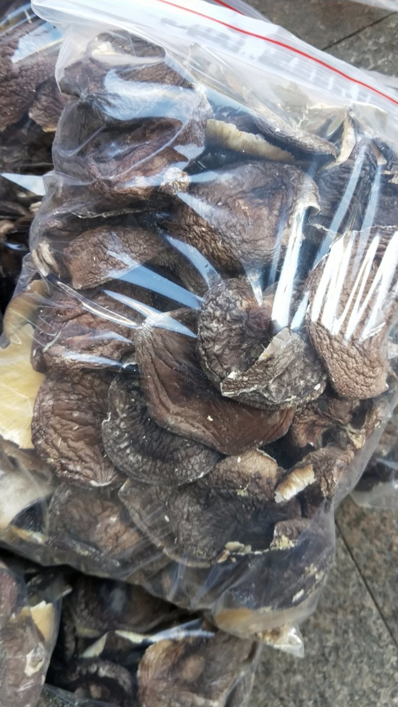 4-5薄野外正宗树木香菇，椴木香菇