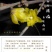 [推荐]腊梅1—10公分规格全基地24小时在线提技术