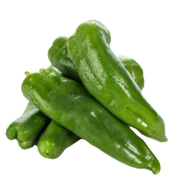 牛角椒辣椒苗，颜色亮丽，