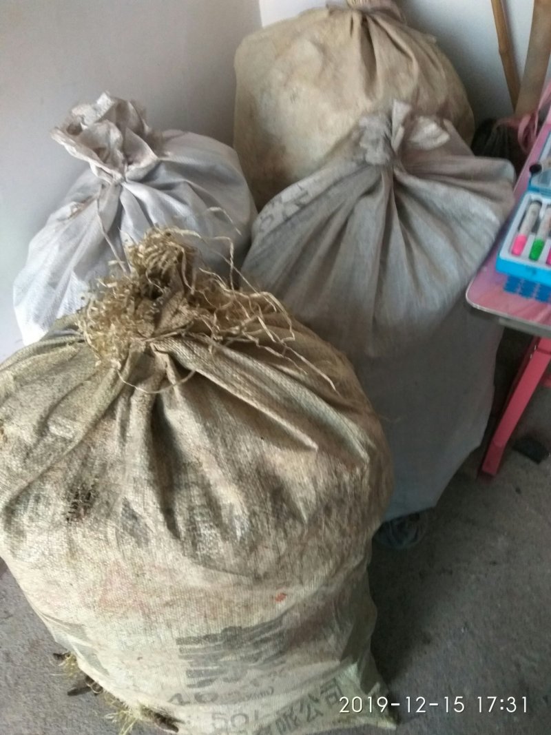 水菖蒲干货，烧毛的，可直接下单