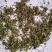 金银花沫子双花沫子不包邮费
