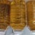江西茶油果物理压榨江西茶果物理压榨江西存天然压榨山茶果