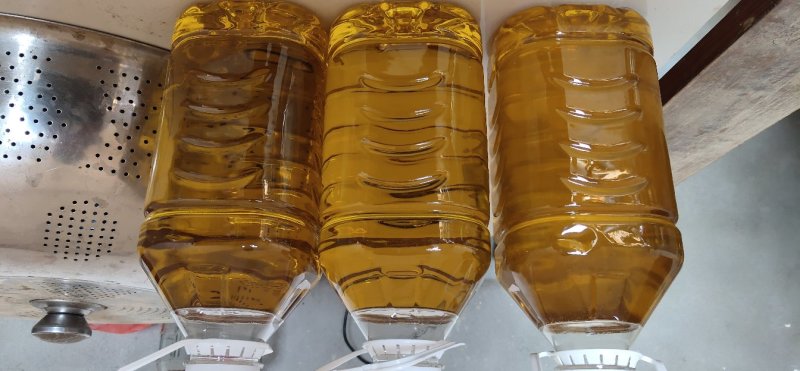 江西茶油果物理压榨江西茶果物理压榨江西存天然压榨山茶果