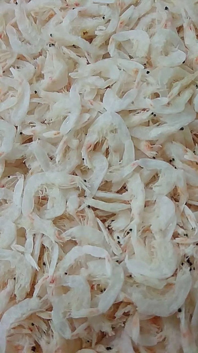 无盐虾皮，淡干虾皮，厂家直销，资质齐全，可贴牌，代加工