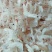 无盐虾皮，淡干虾皮，厂家直销，资质齐全，可贴牌，代加工