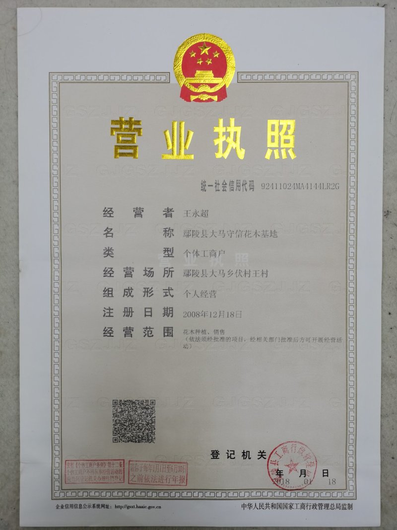 [推荐]腊梅1—10公分规格全基地24小时在线提技术