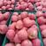 红富士苹果口感脆甜品质保障，货量充足，欢迎全国各地老板采购