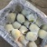 河北鸭梨货源充足价格便宜产地直发一手货源