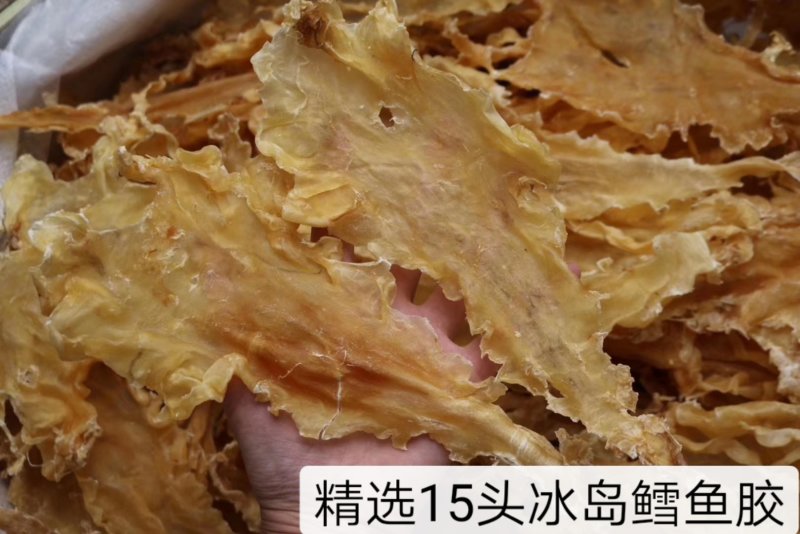 直销批发特级冰岛鳕鱼胶15头-150头规格
