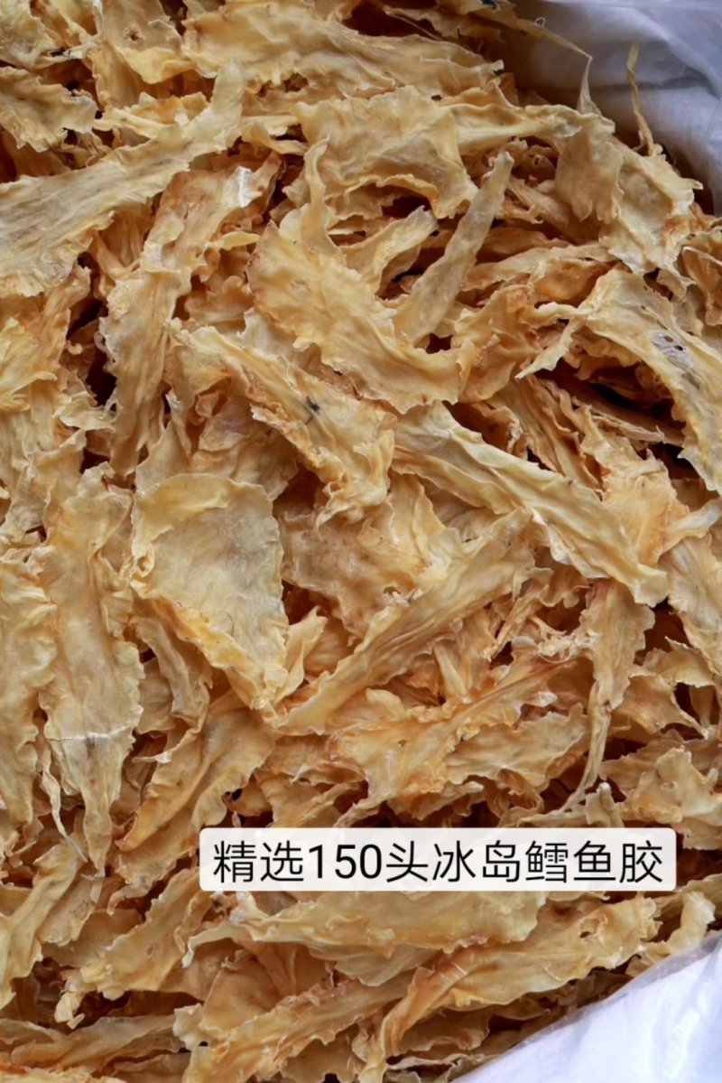 直销批发特级冰岛鳕鱼胶15头-150头规格