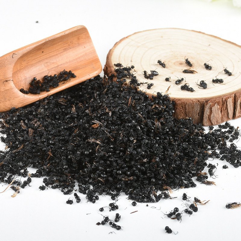 蚂蚁黑蚂蚁红蚂蚁黄蚂蚁泡酒精品无硫净货批发零售各种中药材