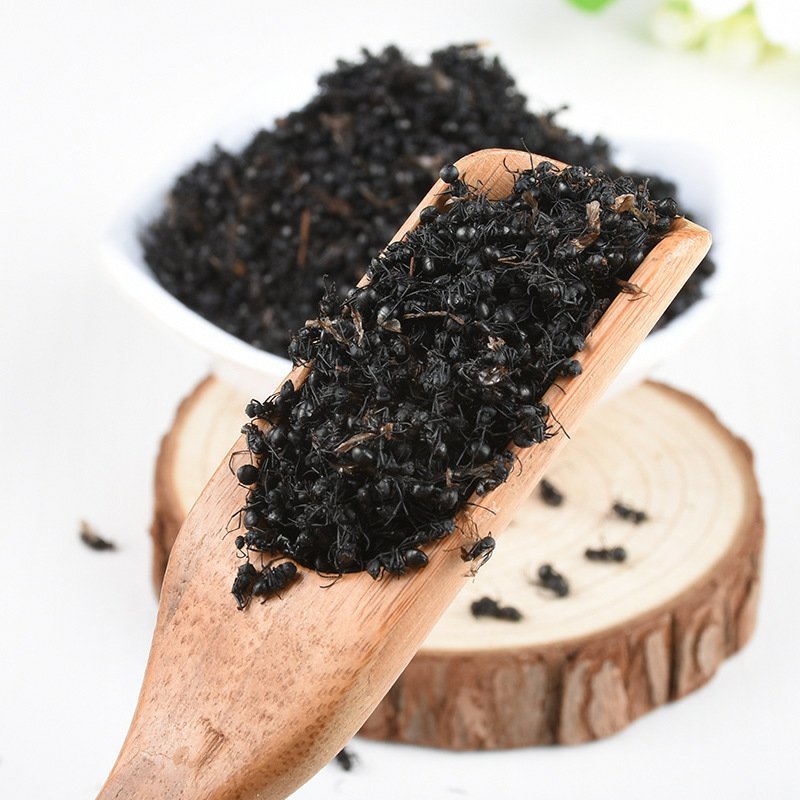 蚂蚁黑蚂蚁红蚂蚁黄蚂蚁泡酒精品无硫净货批发零售各种中药材