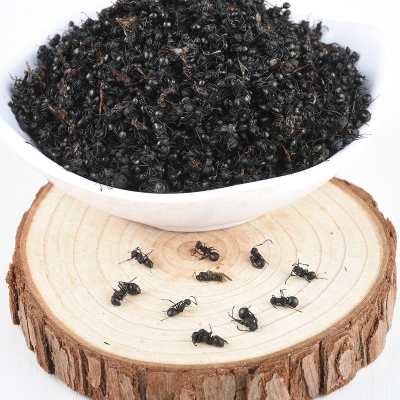 蚂蚁黑蚂蚁红蚂蚁黄蚂蚁泡酒精品无硫净货批发零售各种中药材