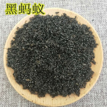 蚂蚁黑蚂蚁红蚂蚁黄蚂蚁泡酒精品无硫净货批发零售各种中药材