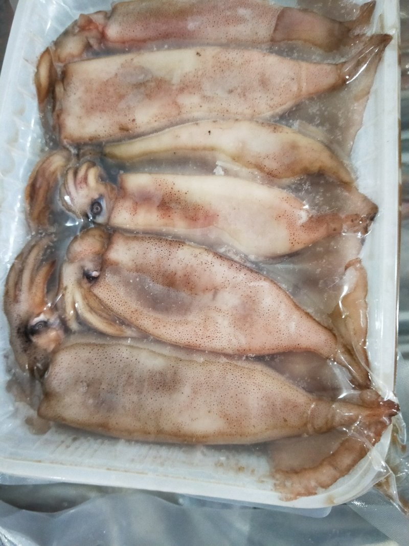 小鱿鱼烧烤食材个头均匀新鲜速冻小鱿鱼