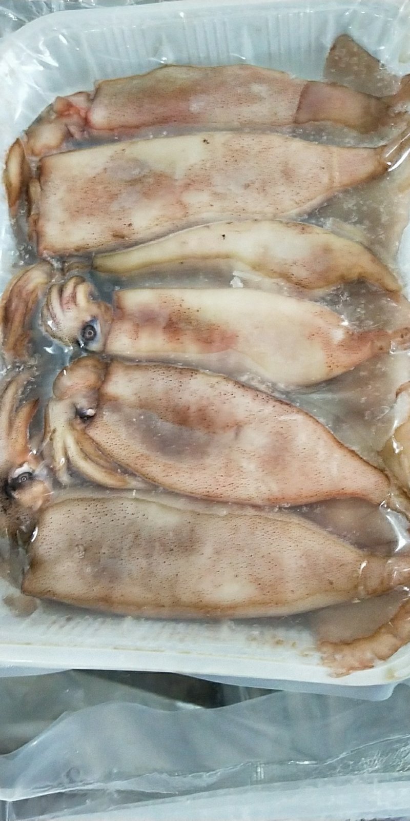 小鱿鱼烧烤食材个头均匀新鲜速冻小鱿鱼