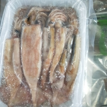 小鱿鱼烧烤食材个头均匀新鲜速冻小鱿鱼