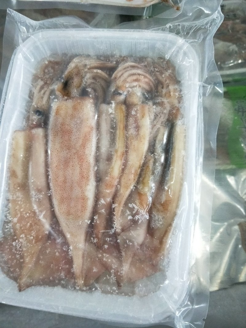小鱿鱼烧烤食材个头均匀新鲜速冻小鱿鱼