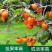 柿子果树嫁接苗特大无核柿甜柿磨盘柿南北方种植基地直发现挖