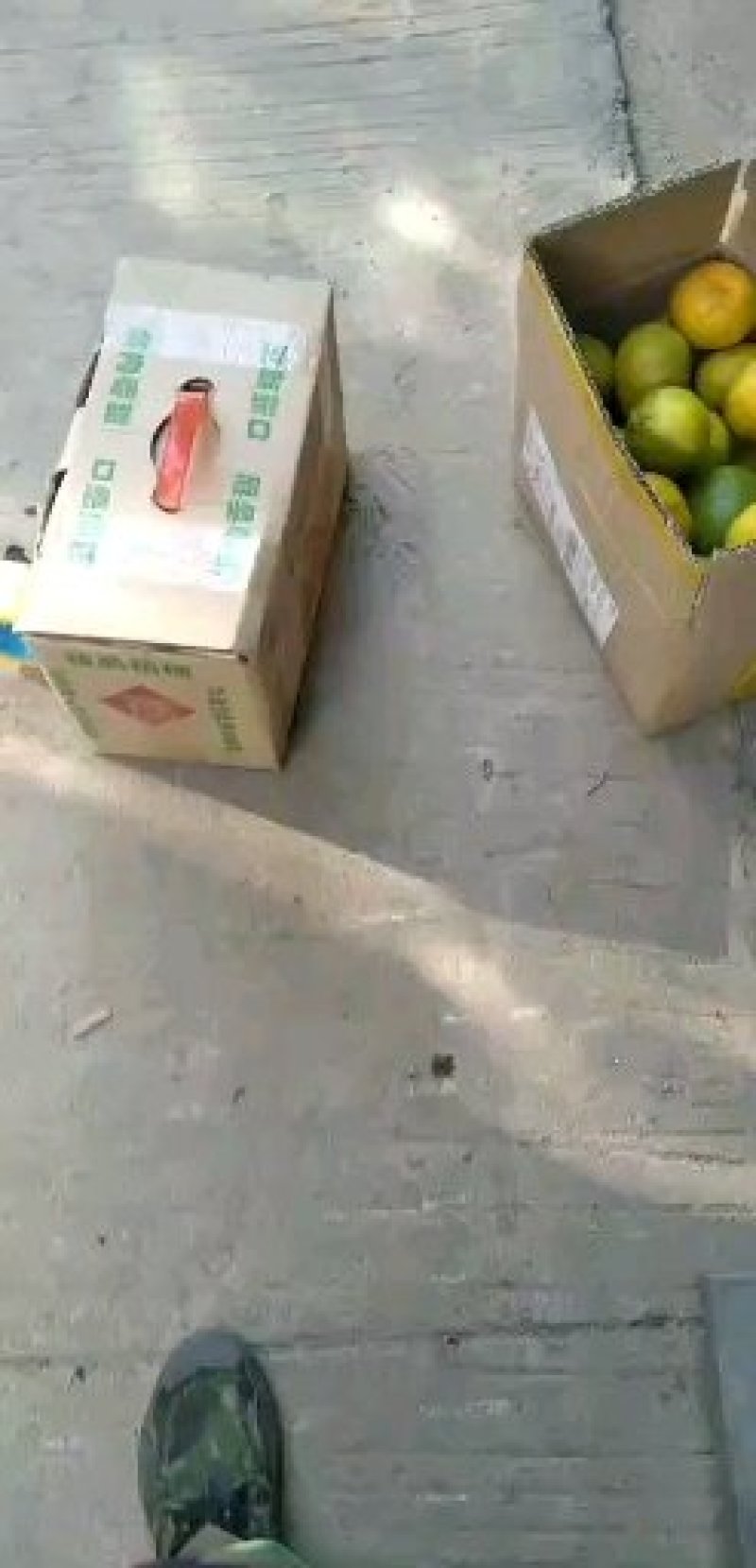 南平顺昌芦柑口味好欢迎各位老板来采购，的优惠服务至上顶火