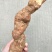 土茯苓野生土茯苓大瑶山
