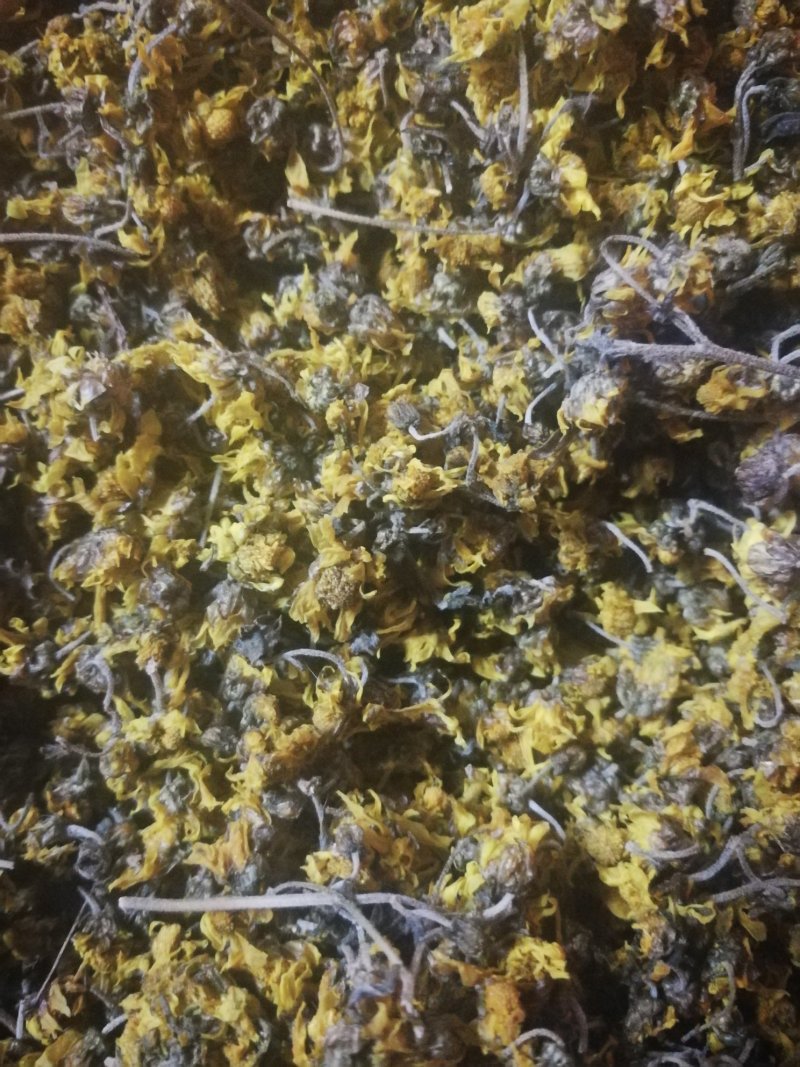 菊花茶/农民自采野生菊花/蒸制晒干成茶