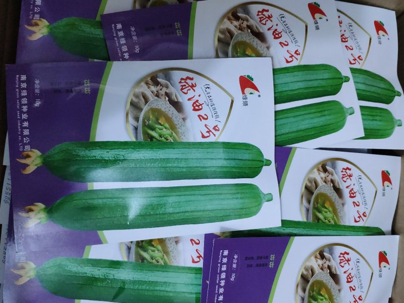 绿油2号短油皮丝瓜种籽白籽丝瓜种10克