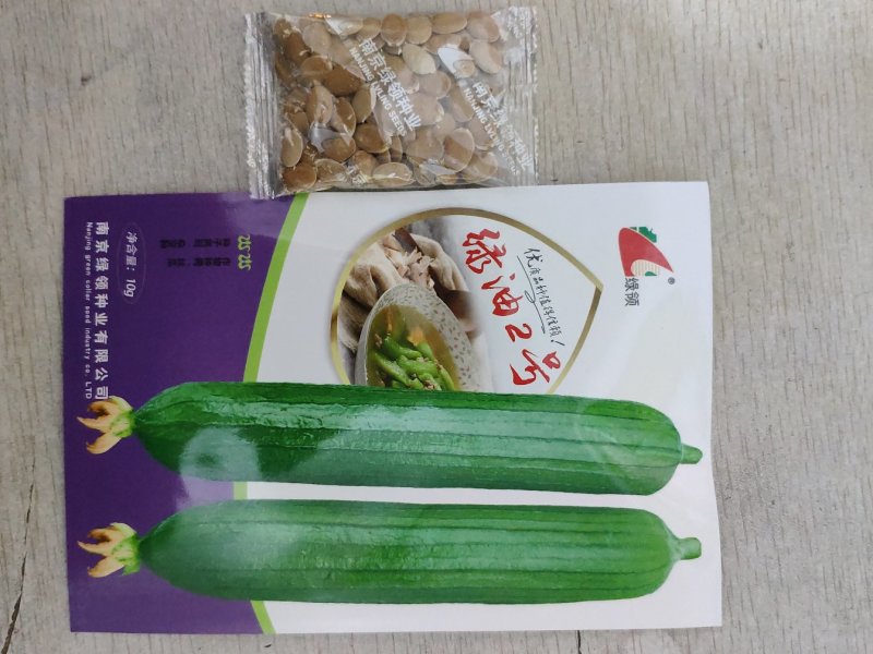 绿油2号短油皮丝瓜种籽白籽丝瓜种10克