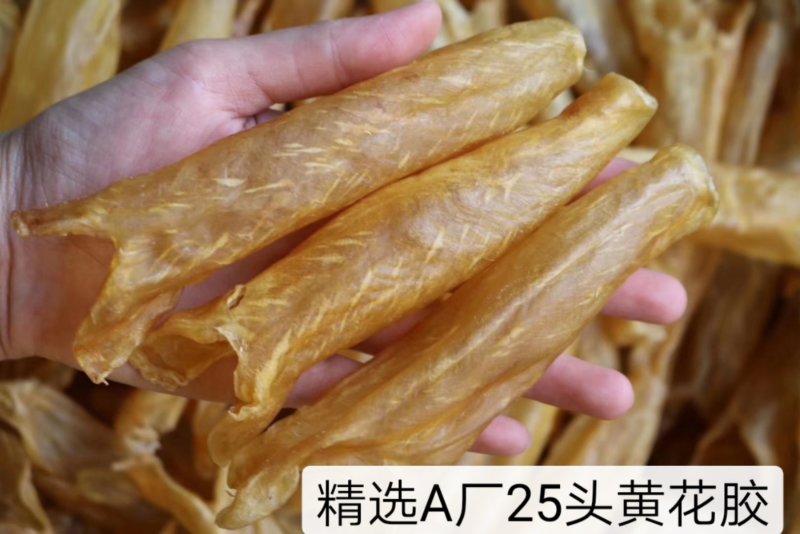 精选特级黄花胶筒12-100头足干无破洞规格齐全