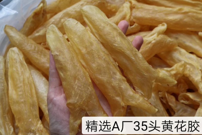精选特级黄花胶筒12-100头足干无破洞规格齐全