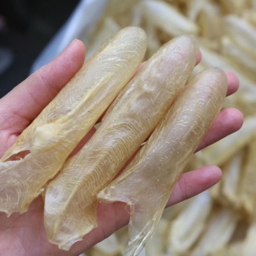 精选高品质95头咸水黄花筒批发零售一件代发