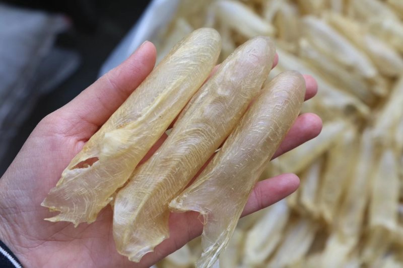 精选高品质95头咸水黄花筒批发零售一件代发