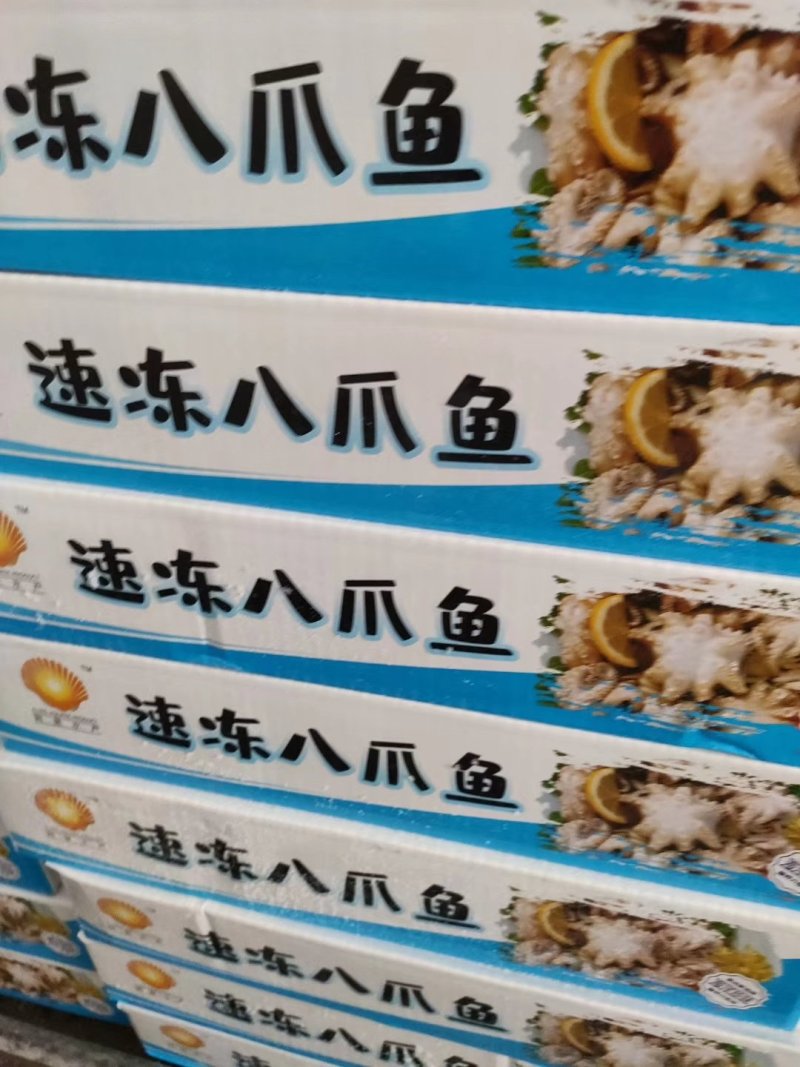 八爪鱼
