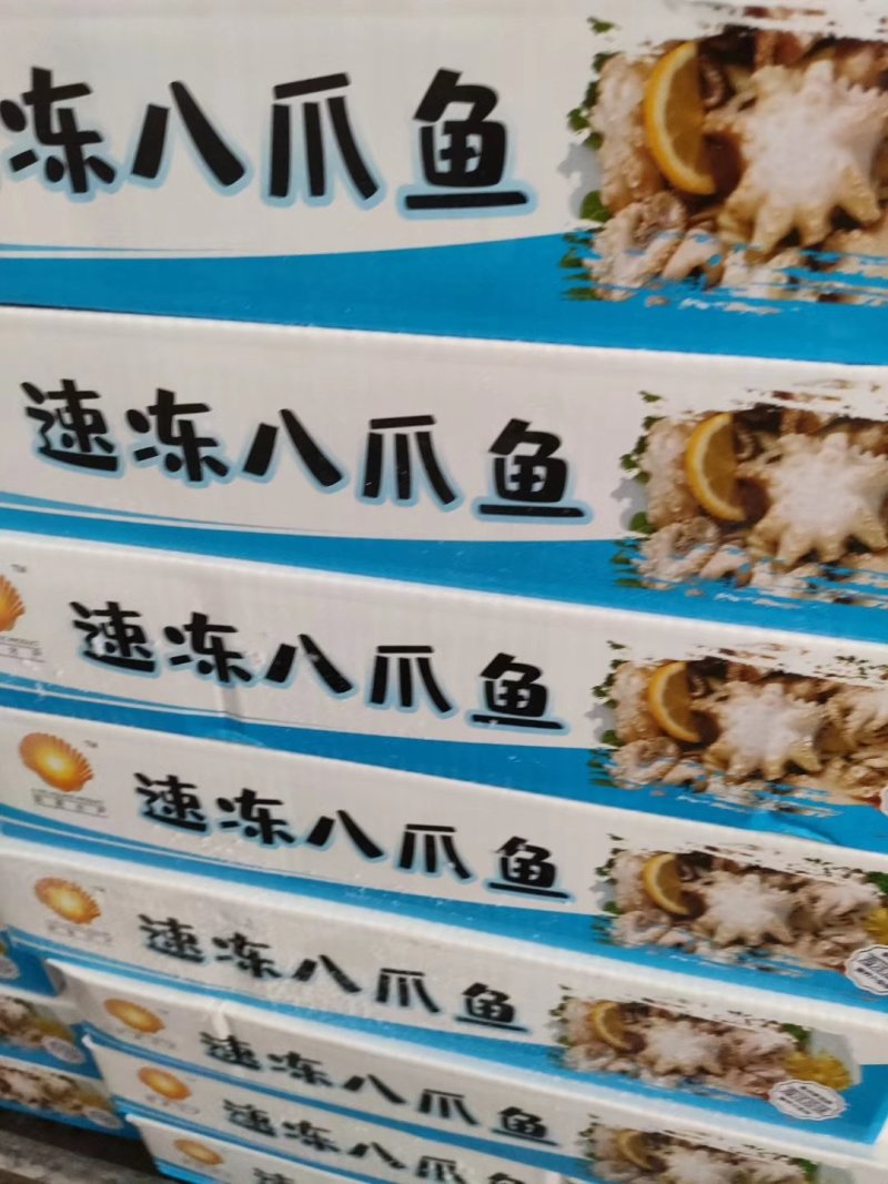 八爪鱼