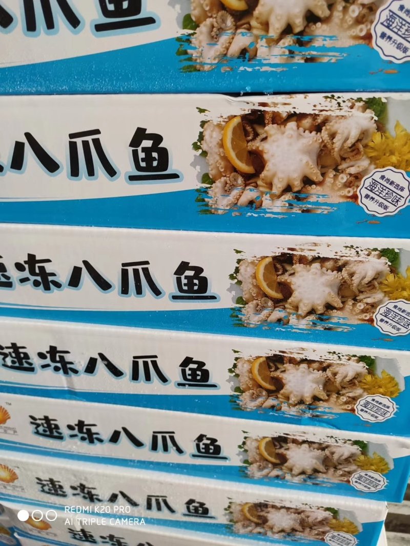 八爪鱼