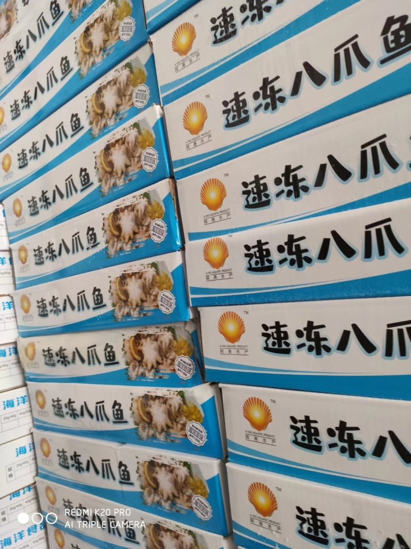八爪鱼