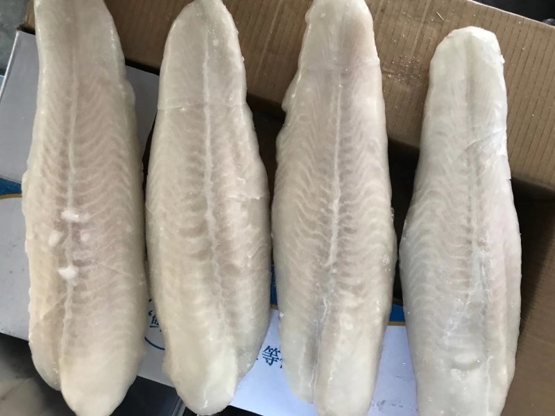 巴沙鱼