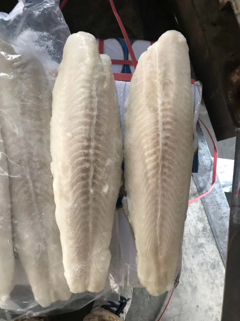 巴沙鱼