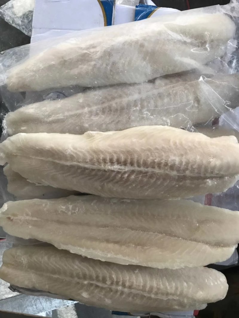 巴沙鱼
