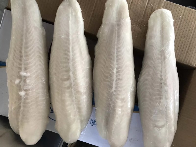 巴沙鱼