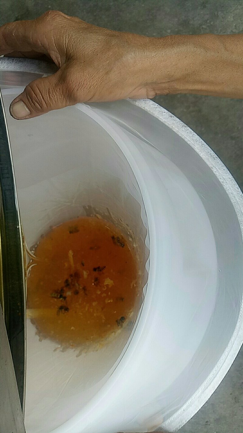 冬蜜，广东南方鸭脚木蜜！